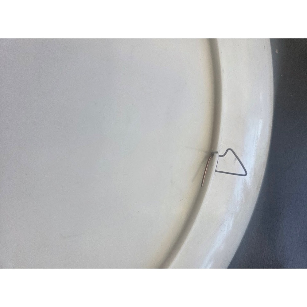 Vintage Milano Duomo di Milano Italy Souvenir Decorative Plate 12 Inch Round - Picture 4 of 4